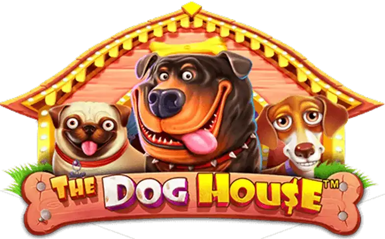 Dog House - mostbet-pol.pl