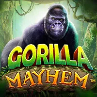 Gorilla Mayhem - mostbet-pol.pl